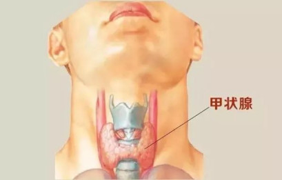 甲状腺的主要症状